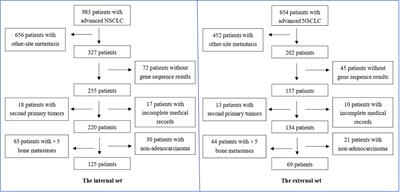 Construction and Verification of Nomogram Model for Lung Adenocarcinoma With ≤ 5 Bone-Only Metastases Basing on Hematology Markers